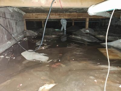 Flooded Basement Cleanup detail