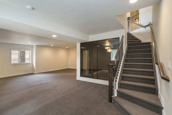 Basement Restoration Service in Brighton