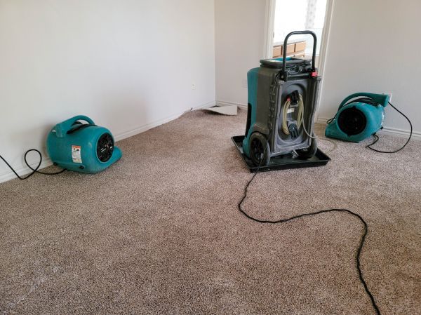 Flood Damage Repair in Brighton