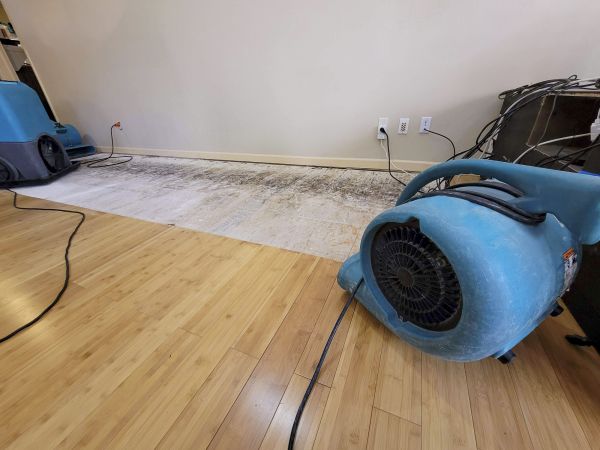 Water Damage Mitigation in Brighton