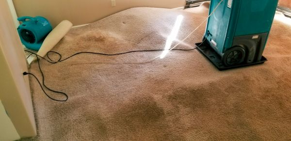 Flood Damage Cleanup in Brighton