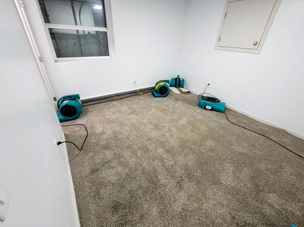 Flood Restoration Service in Brighton