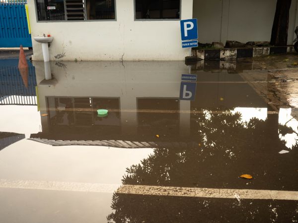Cost of Storm Damage Repair in Brighton