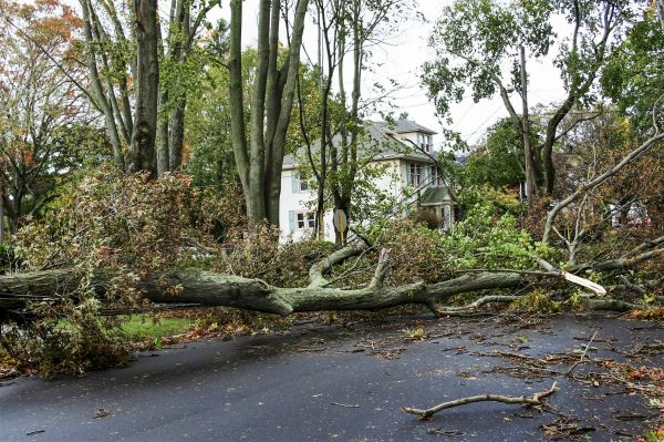 Tornado Damage Repair in Brighton