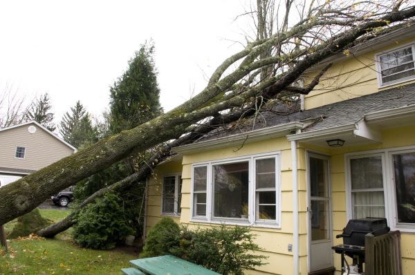 Cost of Hurricane Damage Repair in Brighton