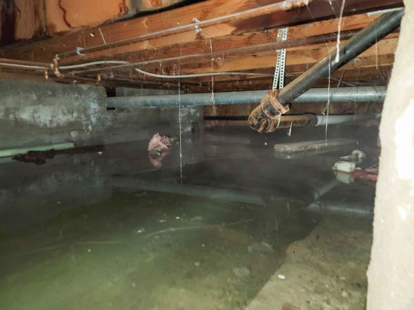 Crawlspace Water Restoration in Brighton